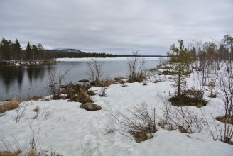 Parc national Pallas-Yllastunturi, Finlande